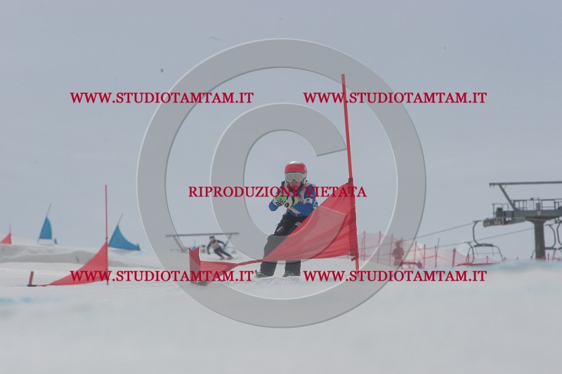 IMGB5523.JPG