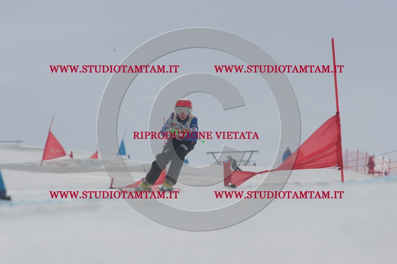 IMGB5526.JPG