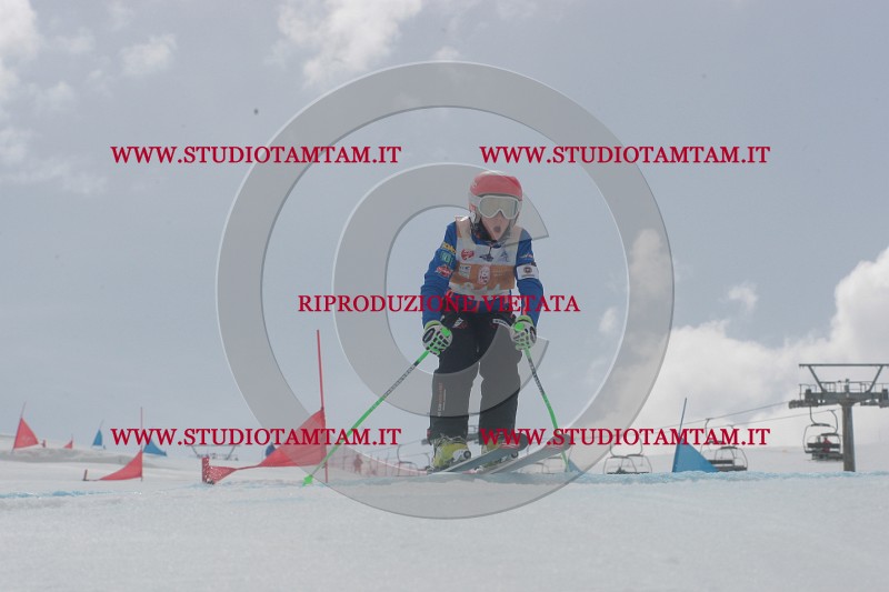 IMGB5531.JPG