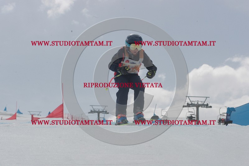IMGB5546.JPG