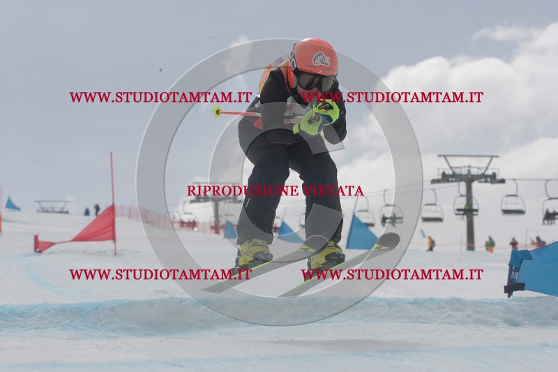 IMGB5577.JPG