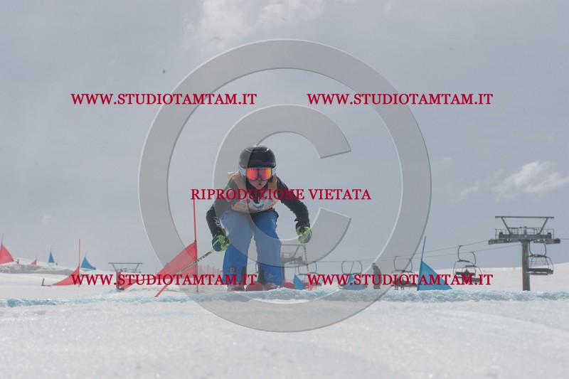 IMGB5799.JPG