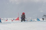 IMGB6285