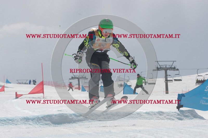 IMGB6645.JPG