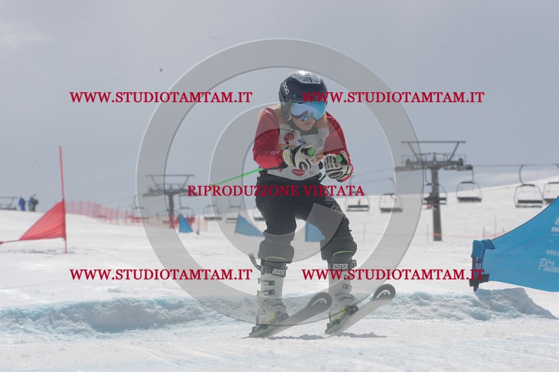 IMGB6680.JPG