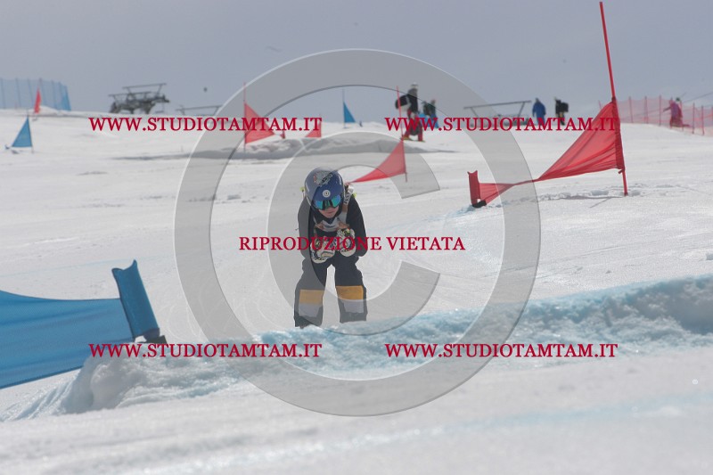 IMGB6724.JPG
