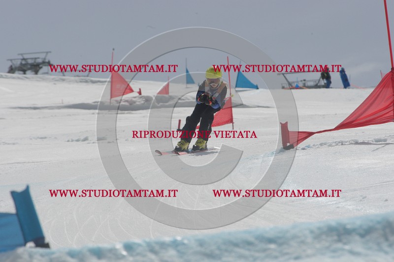IMGB6751.JPG