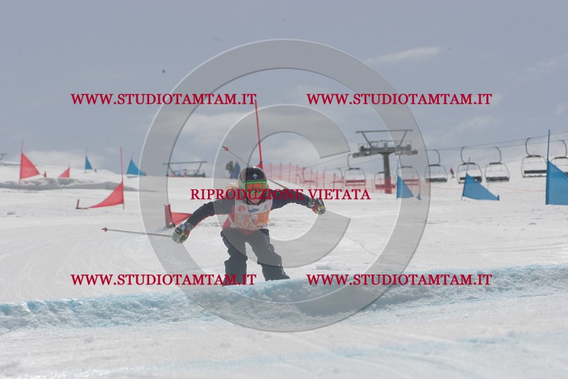 IMGB6831.JPG