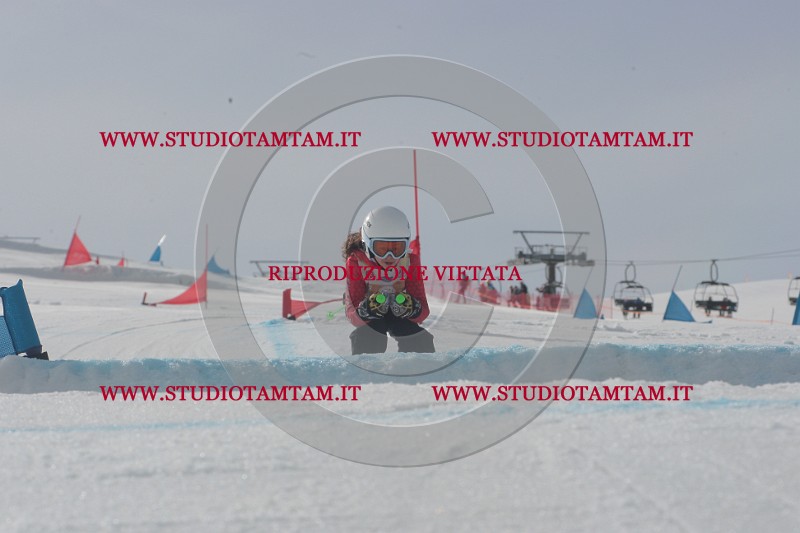 IMGB2556.JPG