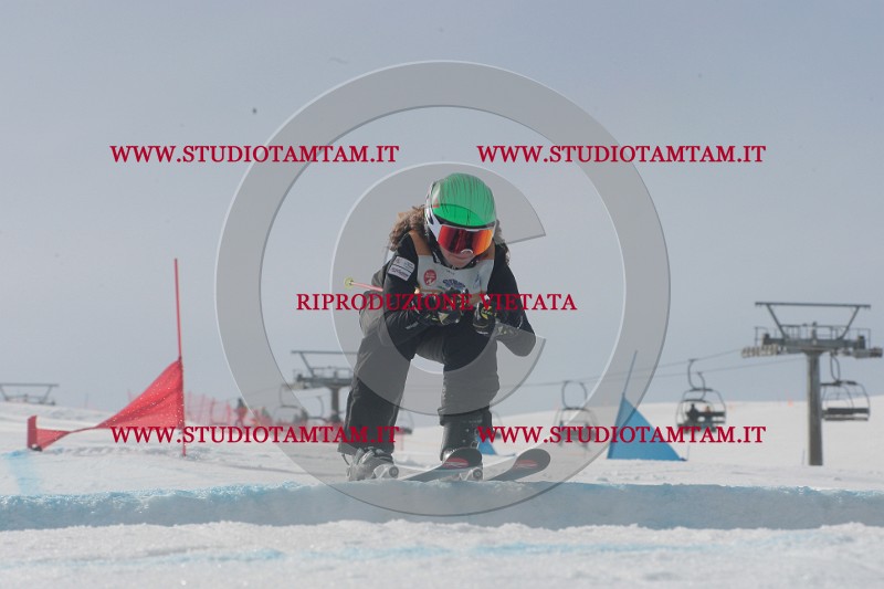 IMGB2576.JPG