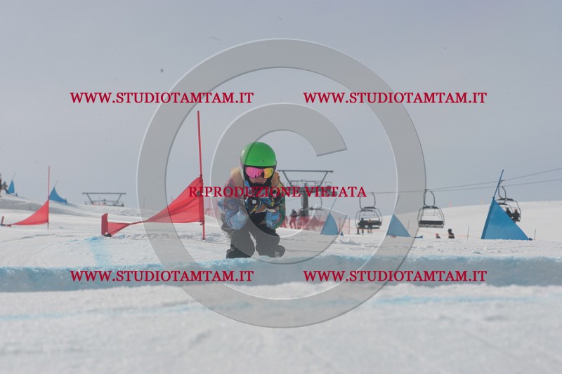 IMGB2589.JPG
