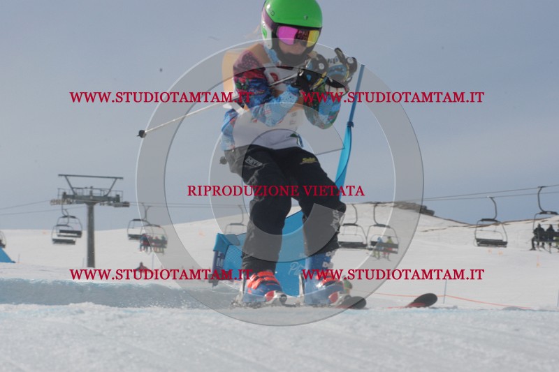 IMGB2593.JPG