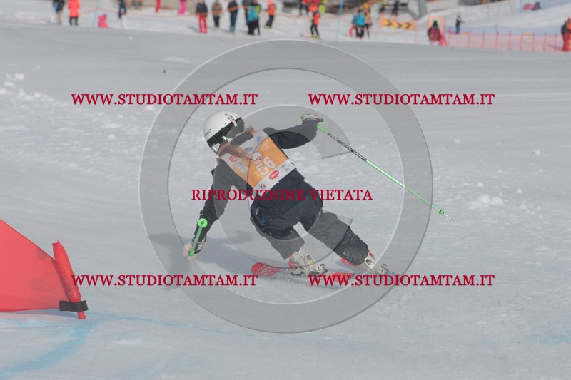 IMGB2619.JPG