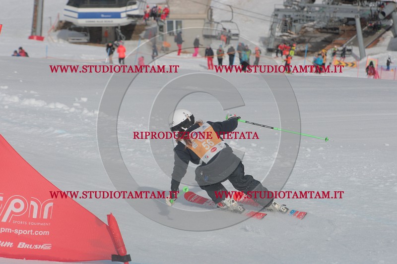IMGB2620.JPG