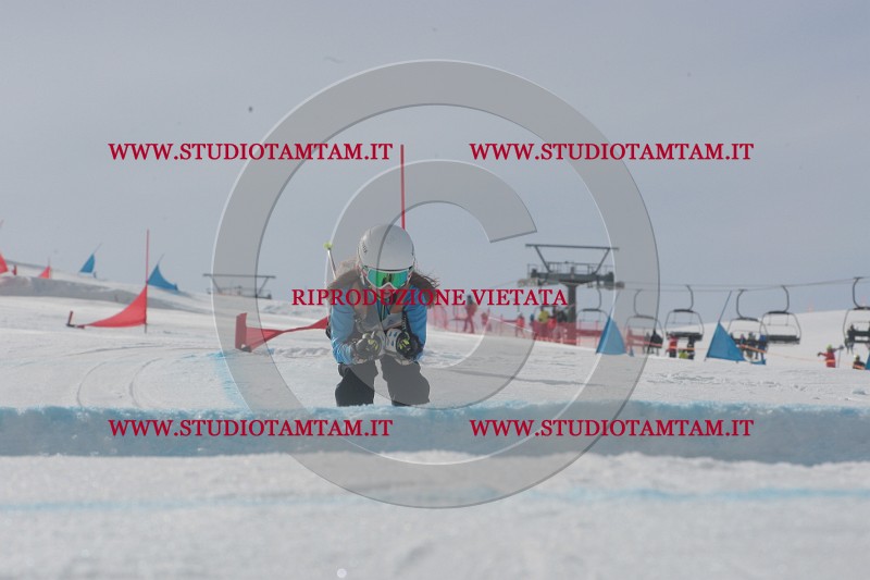 IMGB2642.JPG