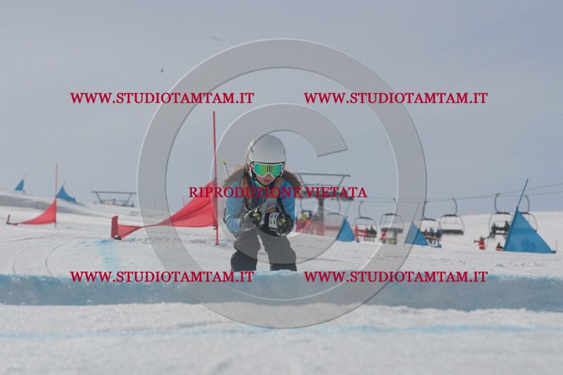 IMGB2643.JPG