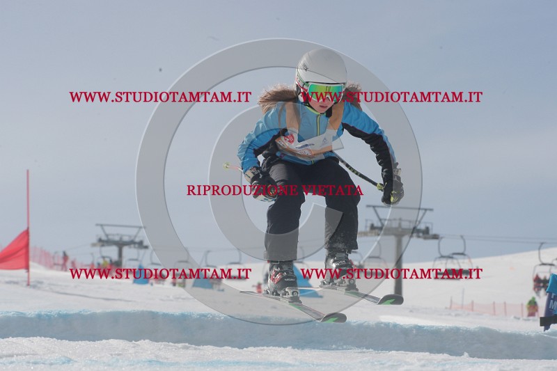 IMGB2646.JPG