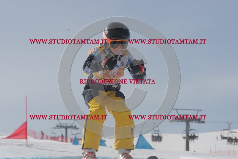 IMGB2658.JPG