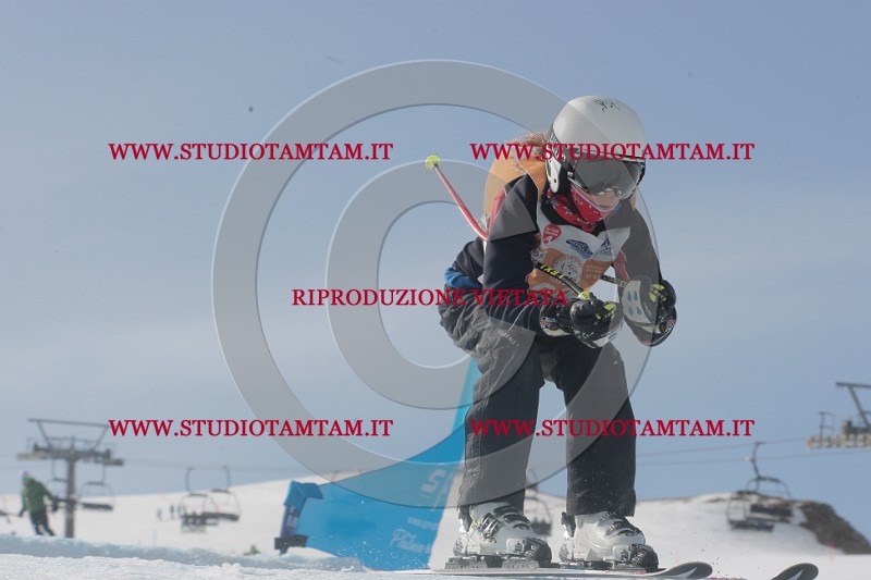 IMGB2672.JPG