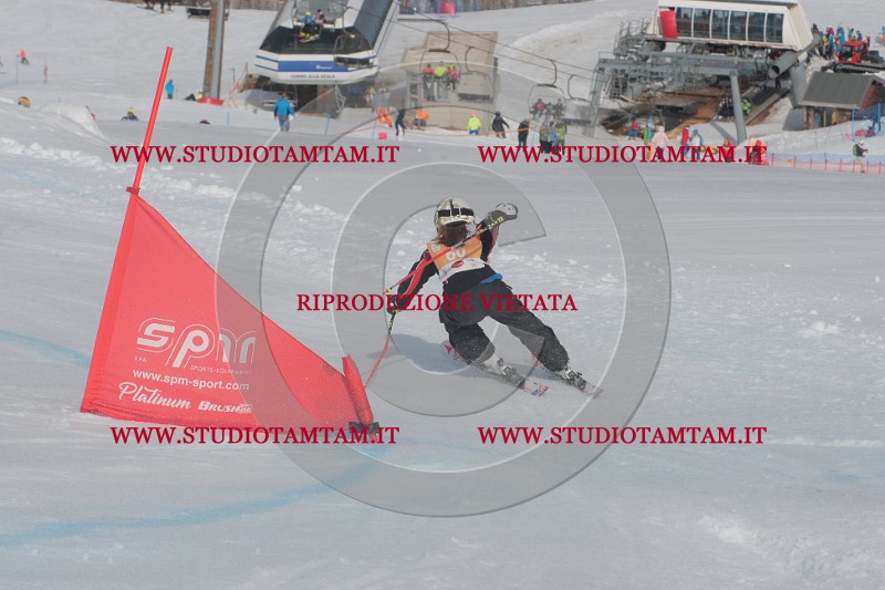 IMGB2677.JPG