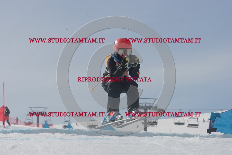 IMGB2686.JPG