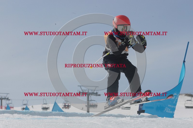 IMGB2687.JPG