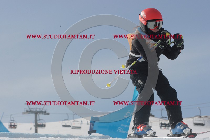 IMGB2688.JPG