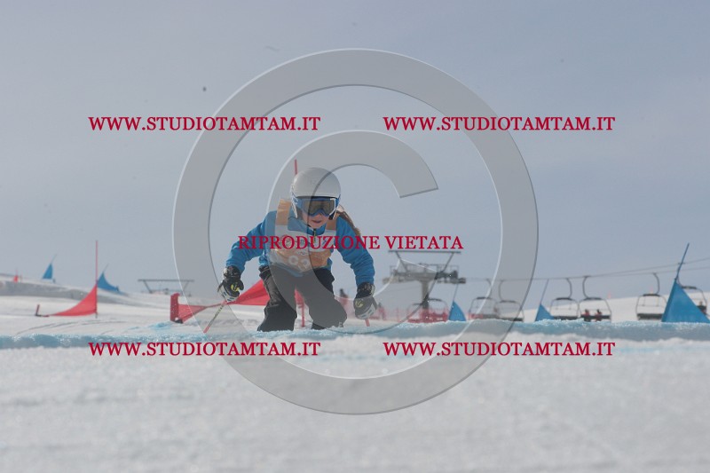 IMGB2713.JPG