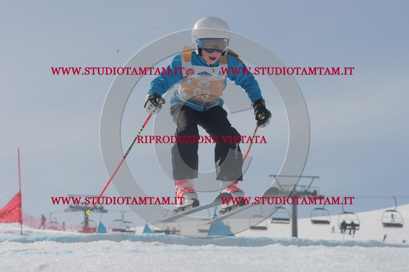 IMGB2716.JPG