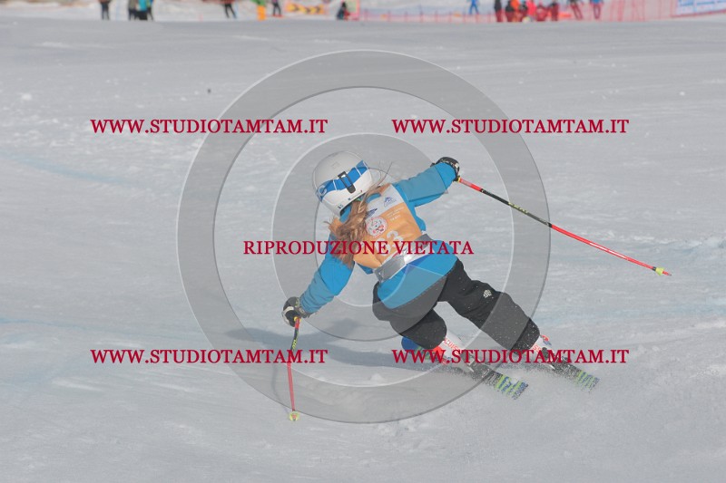 IMGB2719.JPG
