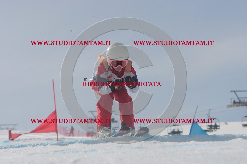 IMGB2732.JPG