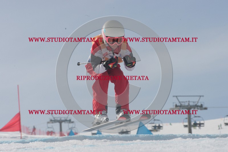IMGB2733.JPG