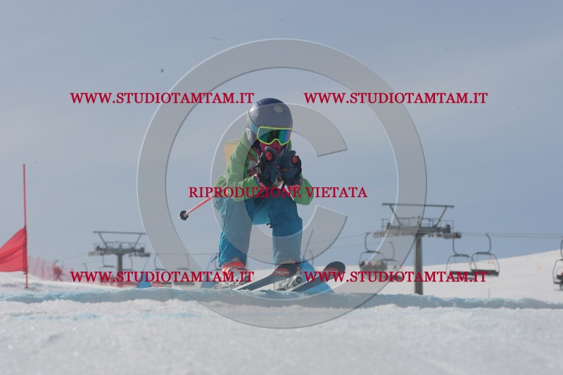 IMGB2748.JPG