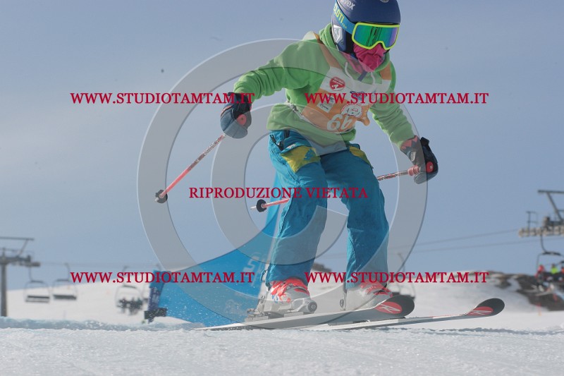IMGB2751.JPG