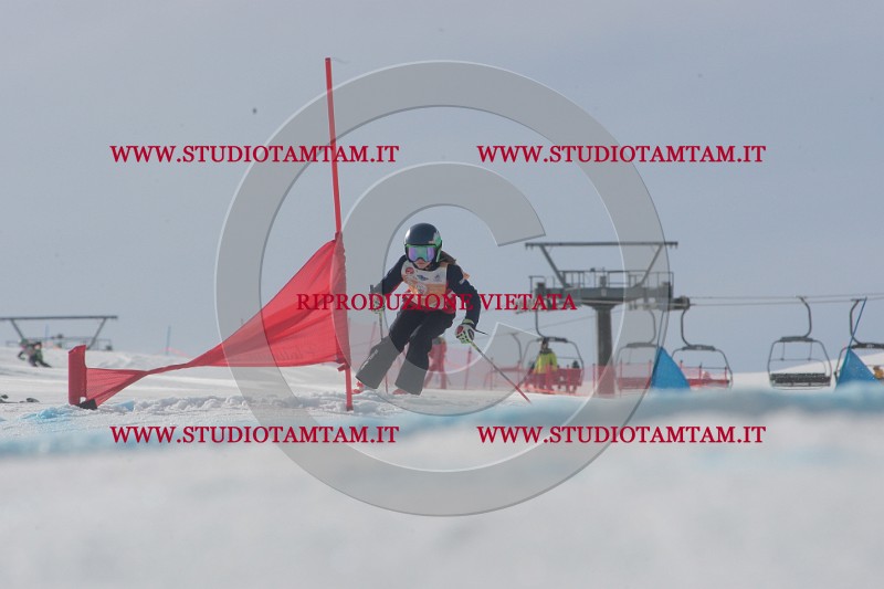 IMGB2757.JPG