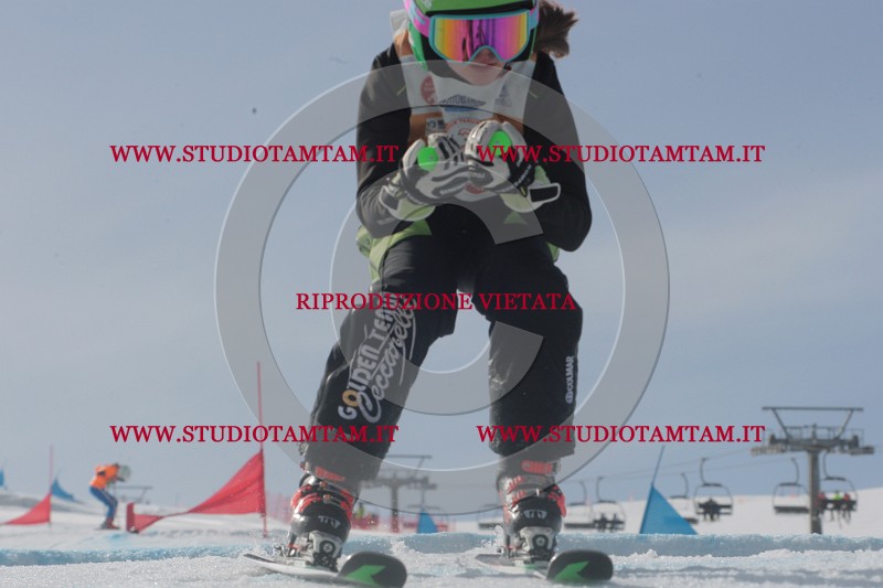 IMGB2778.JPG