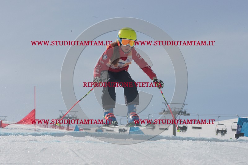 IMGB2792.JPG