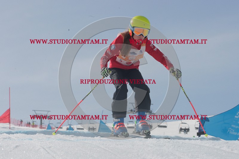 IMGB2793.JPG