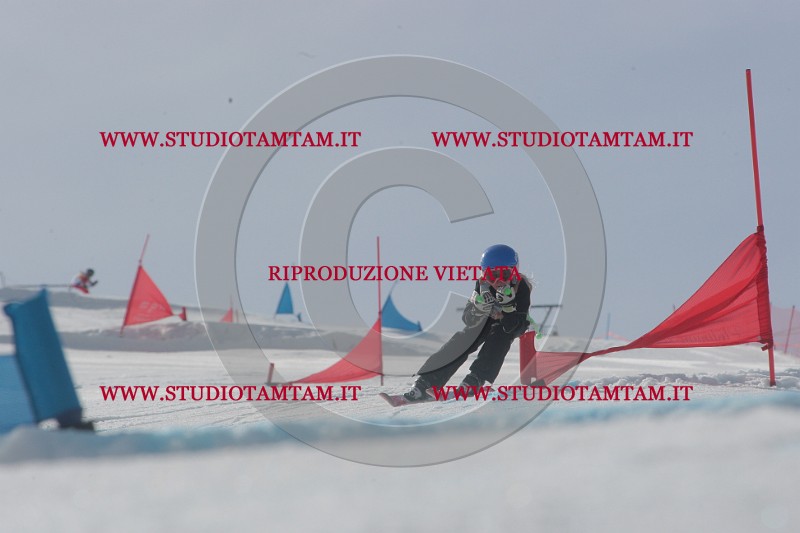 IMGB2812.JPG
