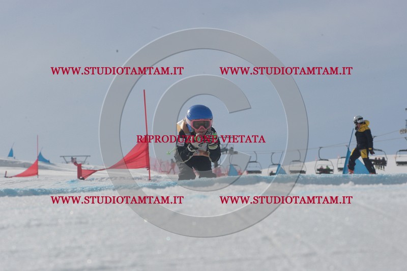 IMGB2819.JPG
