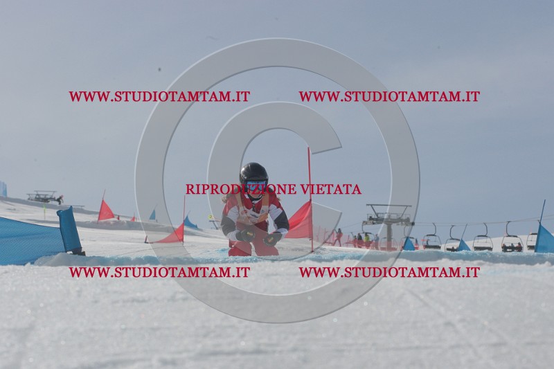IMGB2835.JPG