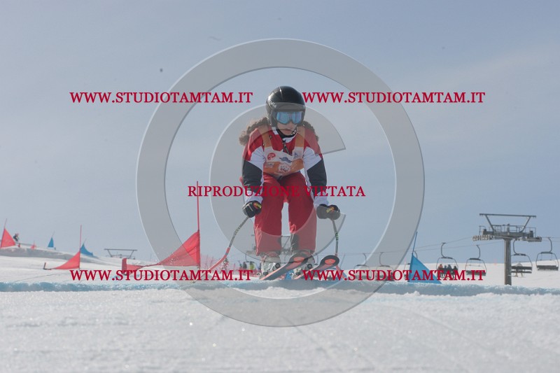 IMGB2838.JPG