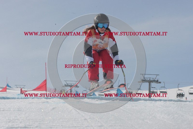 IMGB2839.JPG