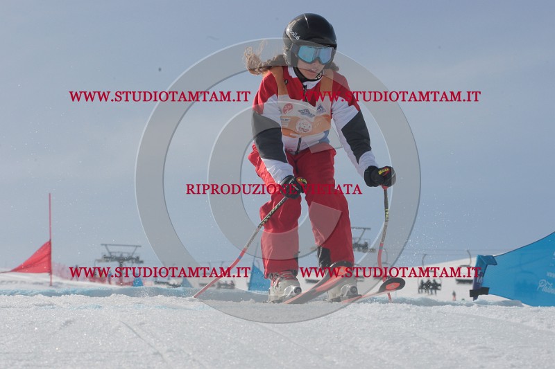 IMGB2840.JPG