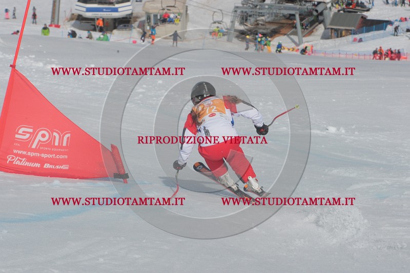IMGB2843.JPG