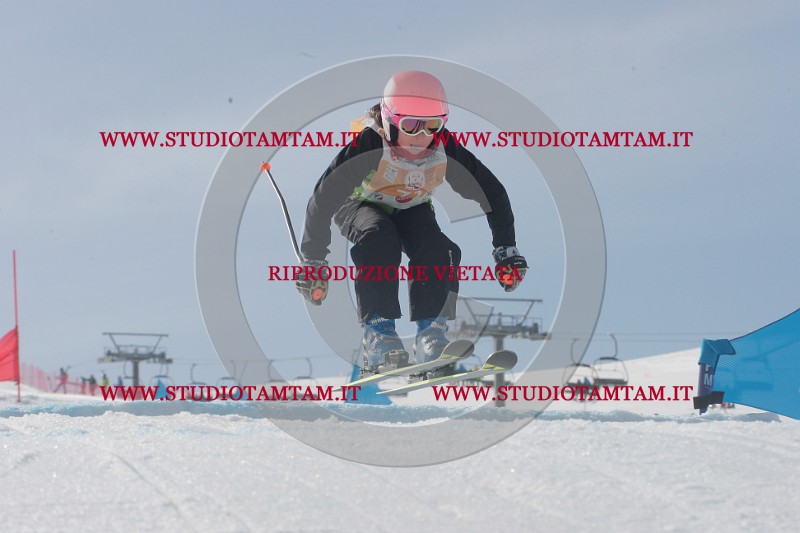 IMGB2854.JPG