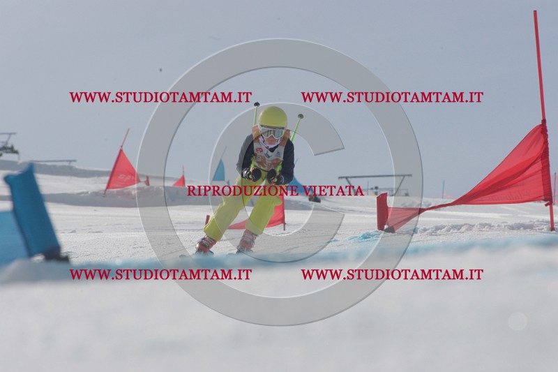 IMGB2869.JPG