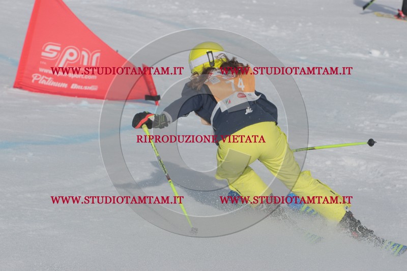 IMGB2878.JPG