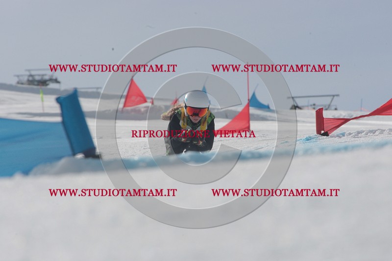 IMGB2887.JPG