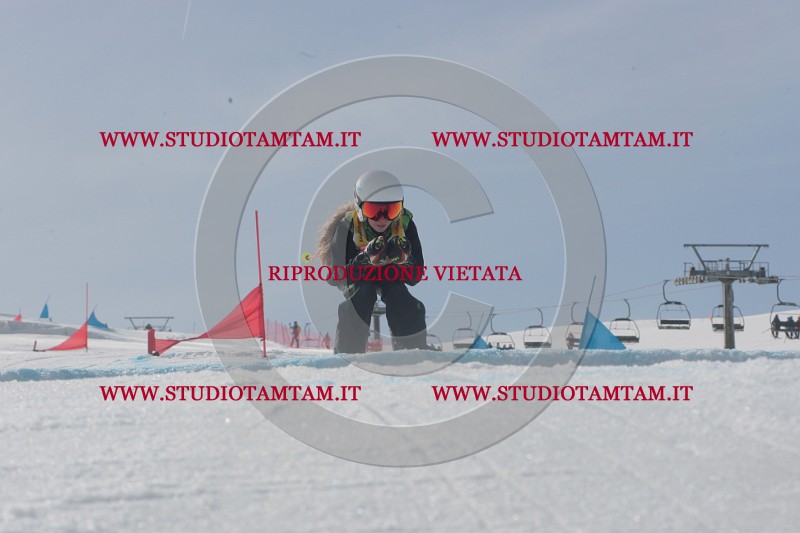 IMGB2889.JPG